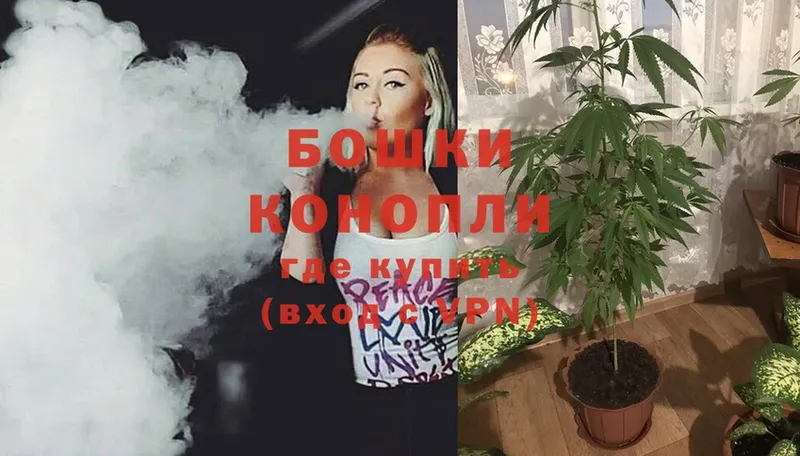 купить наркотики сайты  Собинка  Бошки марихуана SATIVA & INDICA 